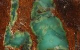 Polished Green Chrysoprase Slab - Western Australia #95220-1